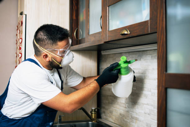 Best Pest Control for Homes  in Malvern, PA