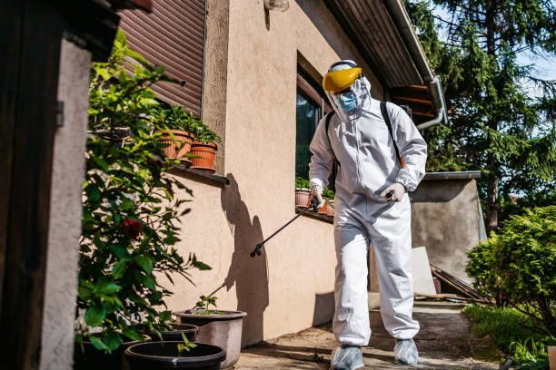Bird Control in Malvern, PA
