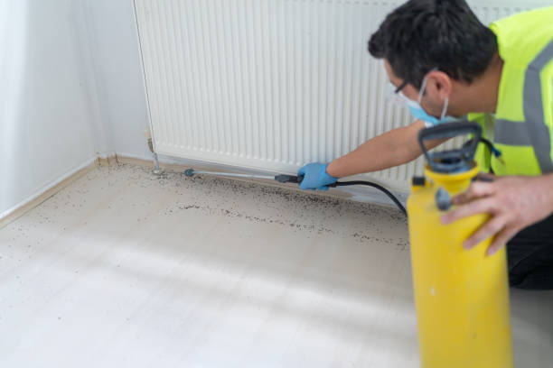 Flea Control Services in Malvern, PA